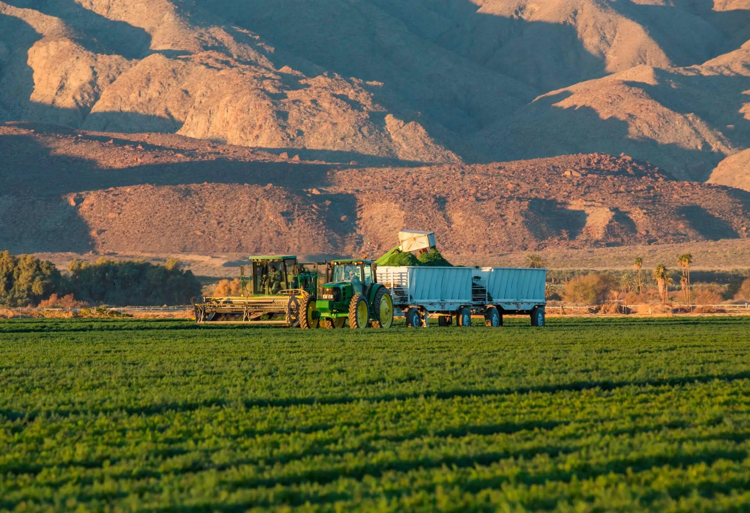 Tractor harvesting herbs with mountains in the background